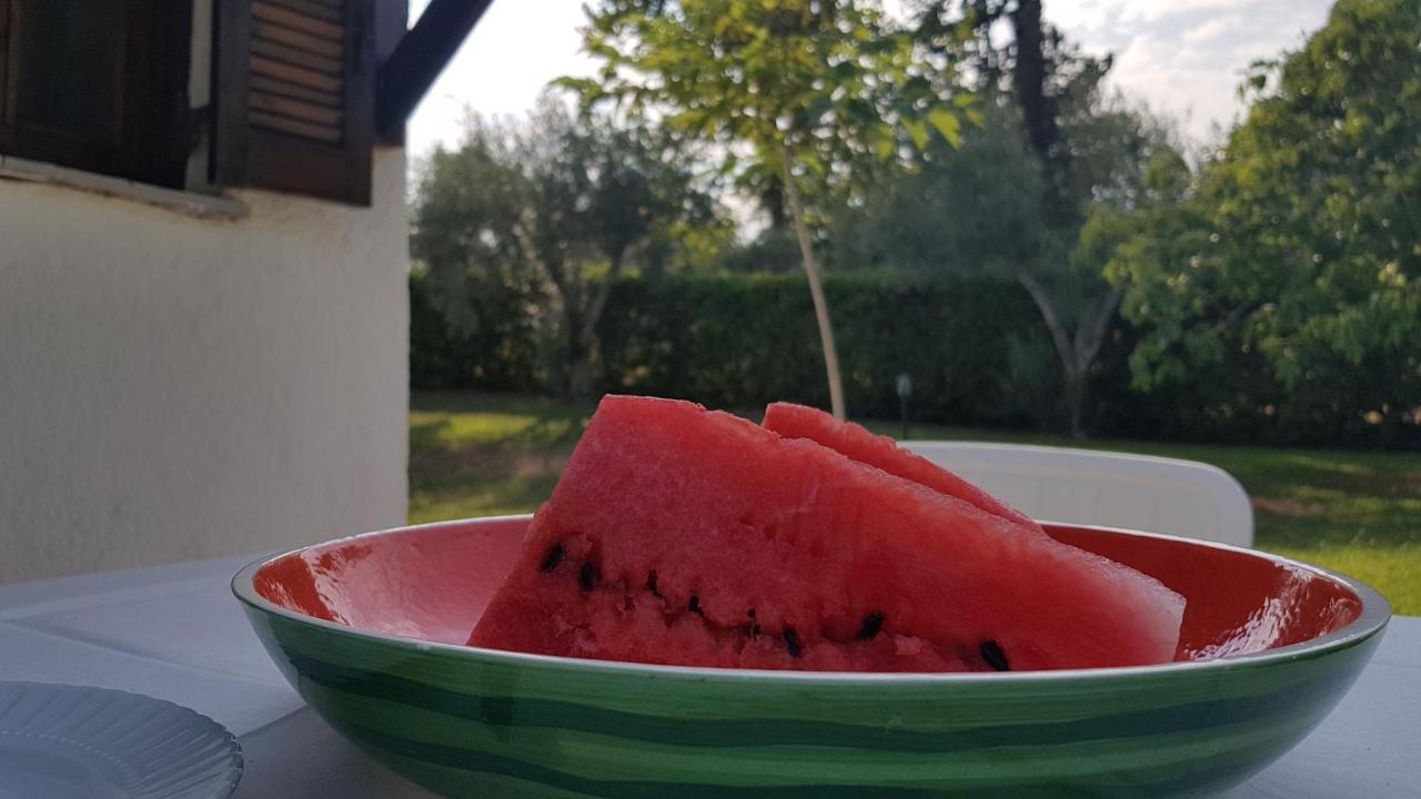 Konstantinos's Luxury Sani Holiday home