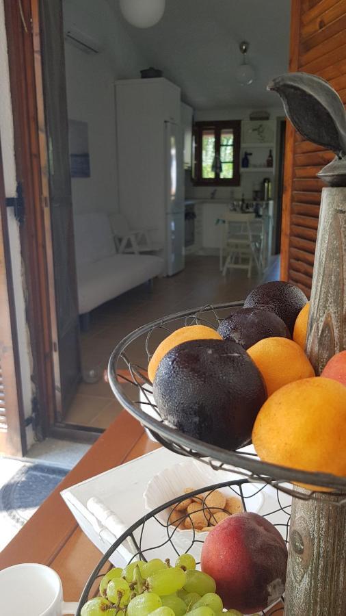Holiday home Konstantinos's Luxury Sani
