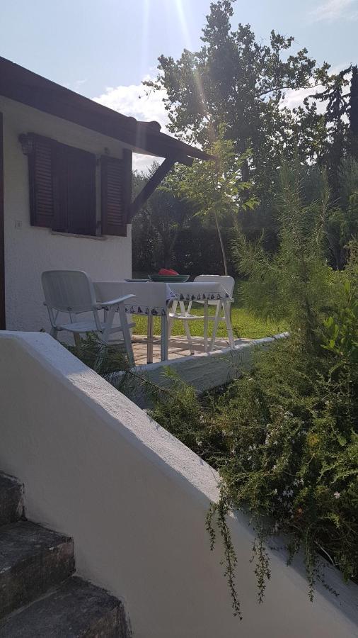 Konstantinos's Luxury Sani Sani (Chalkidiki)