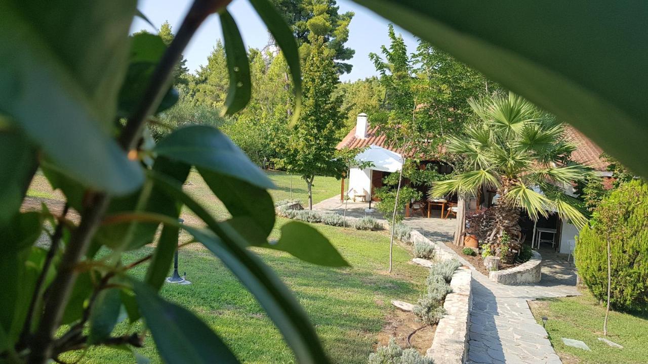 Konstantinos's Luxury Sani Holiday home