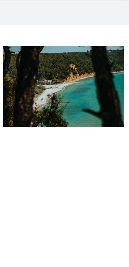 Konstantinos's Luxury Sani Holiday home *