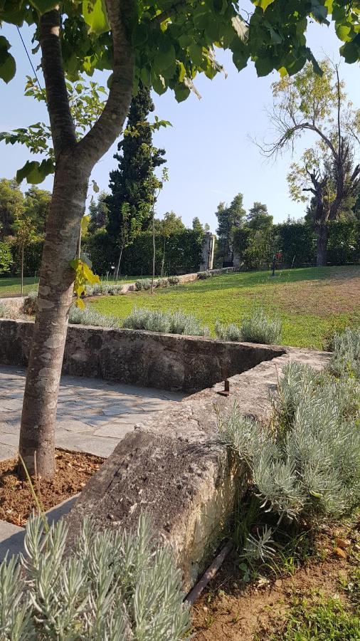 בית נופש Konstantinos's Luxury Sani